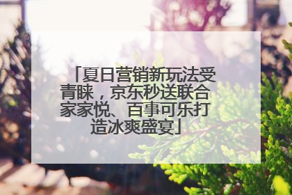 夏日营销新玩法受青睐，京东秒送联合家家悦、百事可乐打造冰爽盛宴