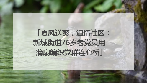 夏风送爽，温情社区：新城街道76岁老党员用蒲扇编织党群连心桥