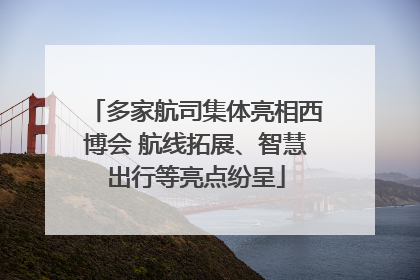 多家航司集体亮相西博会 航线拓展、智慧出行等亮点纷呈