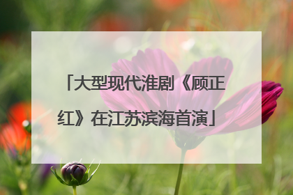 大型现代淮剧《顾正红》在江苏滨海首演