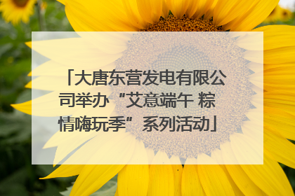 大唐东营发电有限公司举办“艾意端午 粽情嗨玩季”系列活动
