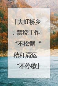 大虹桥乡：禁烧工作“不松懈“ 秸秆清运“不停歇