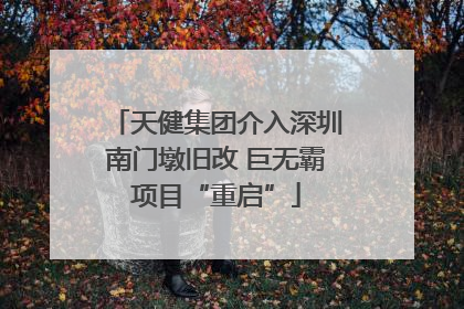 天健集团介入深圳南门墩旧改 巨无霸项目“重启”