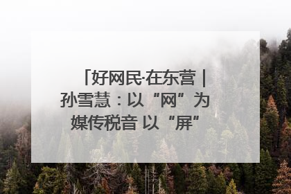 好网民·在东营｜孙雪慧：以“网”为媒传税音 以“屏”为介助发展