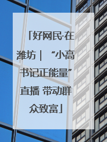 好网民·在潍坊｜“小高书记正能量”直播 带动群众致富