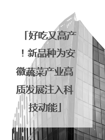 好吃又高产！新品种为安徽蔬菜产业高质发展注入科技动能
