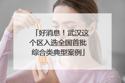 好消息！武汉这个区入选全国首批综合类典型案例