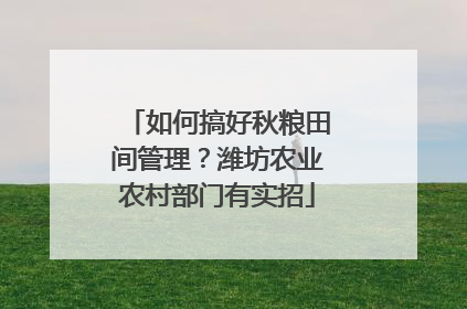 如何搞好秋粮田间管理？潍坊农业农村部门有实招