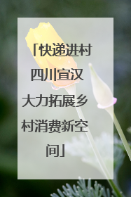 快递进村 四川宣汉大力拓展乡村消费新空间