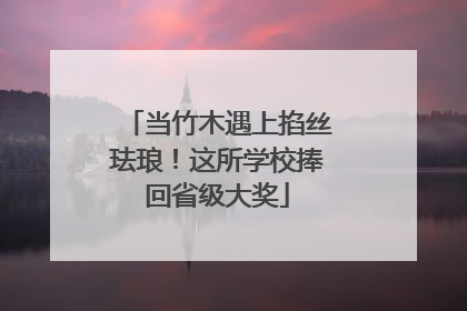 当竹木遇上掐丝珐琅！这所学校捧回省级大奖