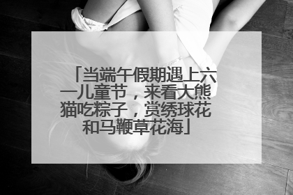 当端午假期遇上六一儿童节，来看大熊猫吃粽子，赏绣球花和马鞭草花海