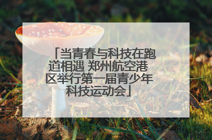 当青春与科技在跑道相遇 郑州航空港区举行第一届青少年科技运动会