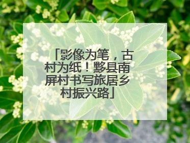 影像为笔，古村为纸！黟县南屏村书写旅居乡村振兴路