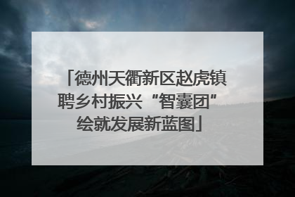 德州天衢新区赵虎镇聘乡村振兴“智囊团” 绘就发展新蓝图