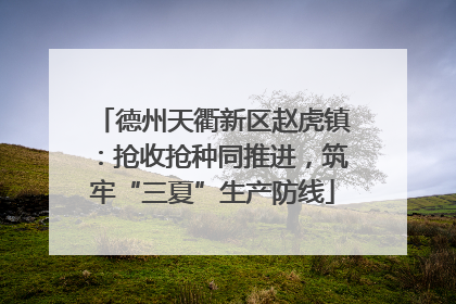 德州天衢新区赵虎镇：抢收抢种同推进，筑牢“三夏”生产防线