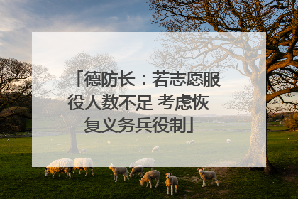 德防长：若志愿服役人数不足 考虑恢复义务兵役制