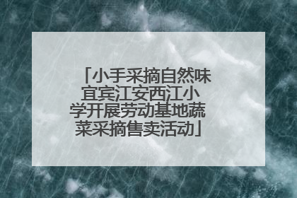 小手采摘自然味 宜宾江安西江小学开展劳动基地蔬菜采摘售卖活动