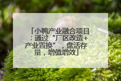小鸭产业融合项目：通过“厂区改造+产业置换”，盘活存量，增值增效