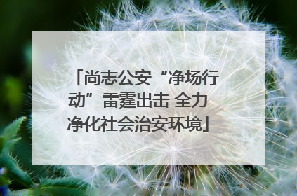 尚志公安“净场行动”雷霆出击 全力净化社会治安环境