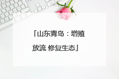 山东青岛：增殖放流 修复生态