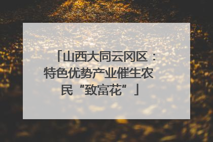 山西大同云冈区：特色优势产业催生农民“致富花”