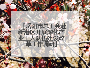 岳阳市总工会赴新港区开展深化产业工人队伍建设改革工作调研