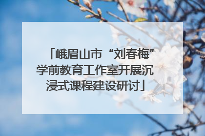 峨眉山市“刘春梅”学前教育工作室开展沉浸式课程建设研讨