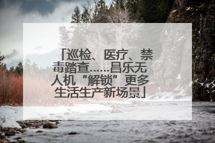 巡检、医疗、禁毒踏查……昌乐无人机“解锁”更多生活生产新场景