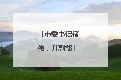 市委书记褚伟，升副部