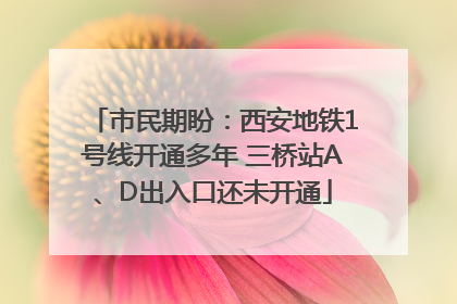 市民期盼：西安地铁1号线开通多年 三桥站A、D出入口还未开通