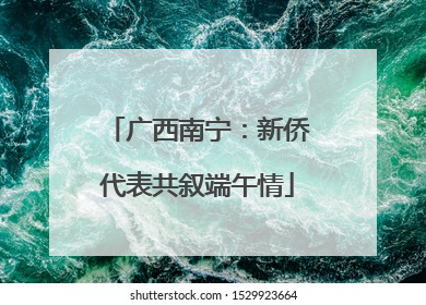 广西南宁：新侨代表共叙端午情