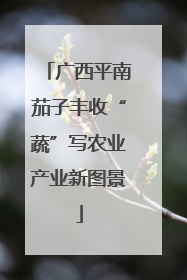 广西平南茄子丰收“蔬”写农业产业新图景