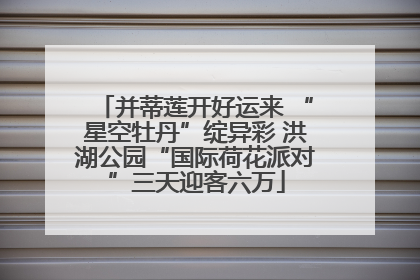 并蒂莲开好运来 “星空牡丹”绽异彩 洪湖公园“国际荷花派对”三天迎客六万