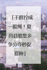 干群拧成一股绳！夏邑县骆集乡争分夺秒促夏种