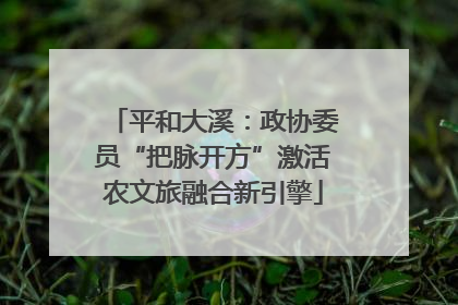 平和大溪：政协委员“把脉开方”激活农文旅融合新引擎