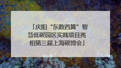 庆阳“东数西算”智慧低碳园区实践项目亮相第三届上海碳博会