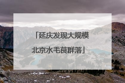 延庆发现大规模北京水毛茛群落