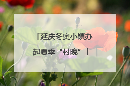 延庆冬奥小镇办起夏季“村晚”