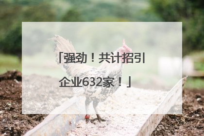 强劲！共计招引企业632家！