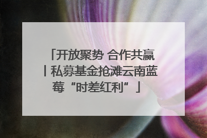 开放聚势 合作共赢丨私募基金抢滩云南蓝莓“时差红利”