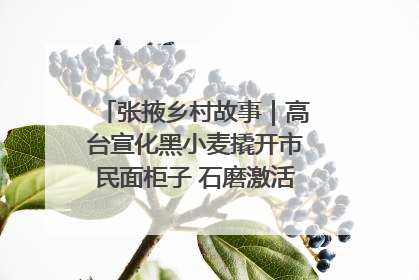 张掖乡村故事｜高台宣化黑小麦撬开市民面柜子 石磨激活村集体钱匣子