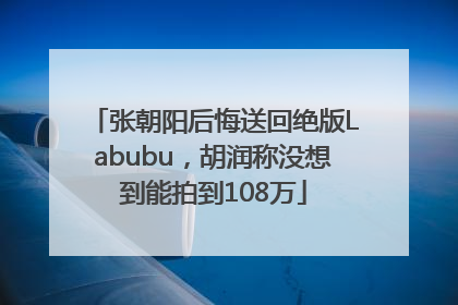 张朝阳后悔送回绝版Labubu，胡润称没想到能拍到108万