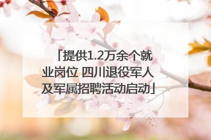 提供1.2万余个就业岗位 四川退役军人及军属招聘活动启动