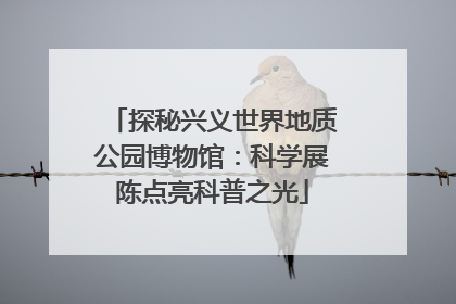 探秘兴义世界地质公园博物馆：科学展陈点亮科普之光