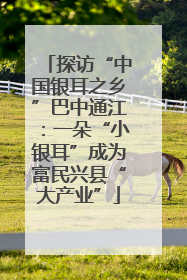 探访“中国银耳之乡”巴中通江：一朵“小银耳”成为富民兴县“大产业”