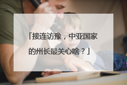 接连访豫，中亚国家的州长最关心啥？