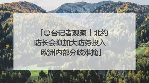 总台记者观察丨北约防长会拟加大防务投入 欧洲内部分歧难掩