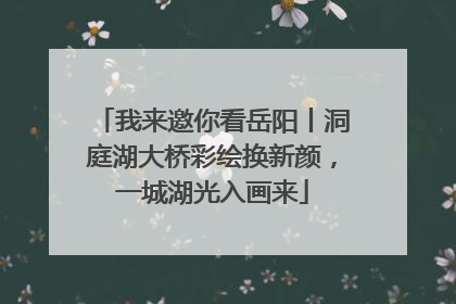 我来邀你看岳阳丨洞庭湖大桥彩绘换新颜，一城湖光入画来