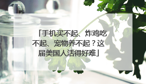 手机买不起、炸鸡吃不起、宠物养不起？这届美国人活得好难