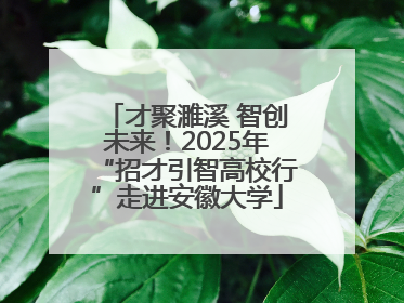 才聚濉溪 智创未来！2025年“招才引智高校行”走进安徽大学